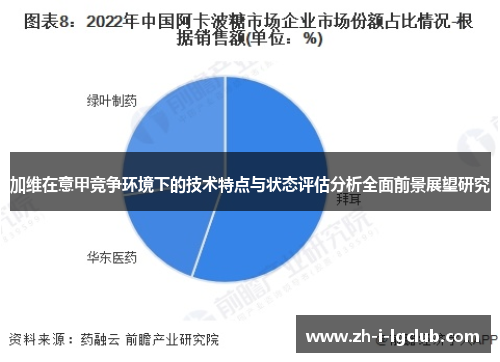 加维在意甲竞争环境下的技术特点与状态评估分析全面前景展望研究 加维在意甲竞争环境下的技术特点与状态评估分析全面前景展望研究